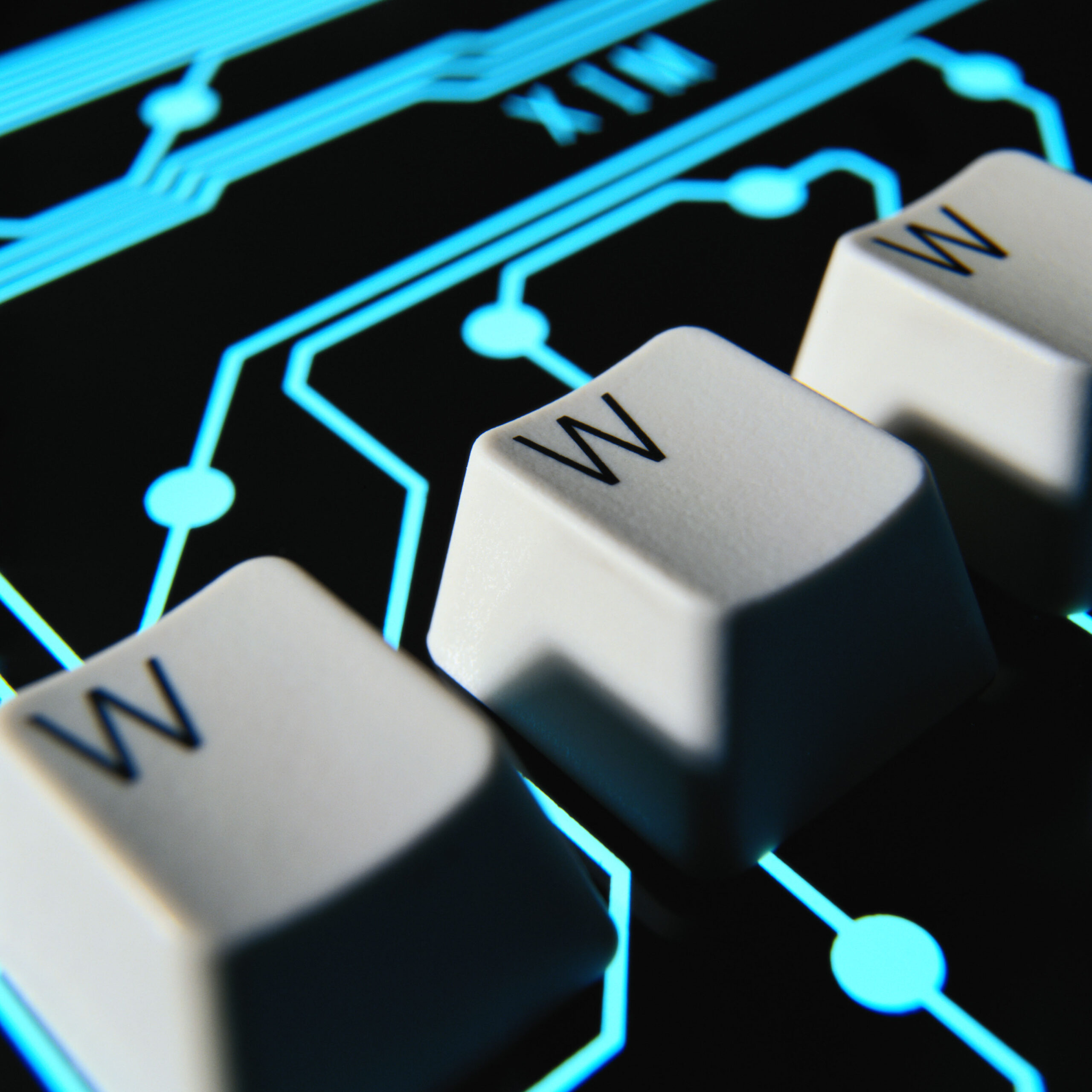 WWW Computer Keys Superimposed on Circuitry